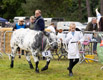 Malton Show 2024